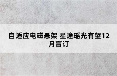 自适应电磁悬架 星途瑶光有望12月盲订